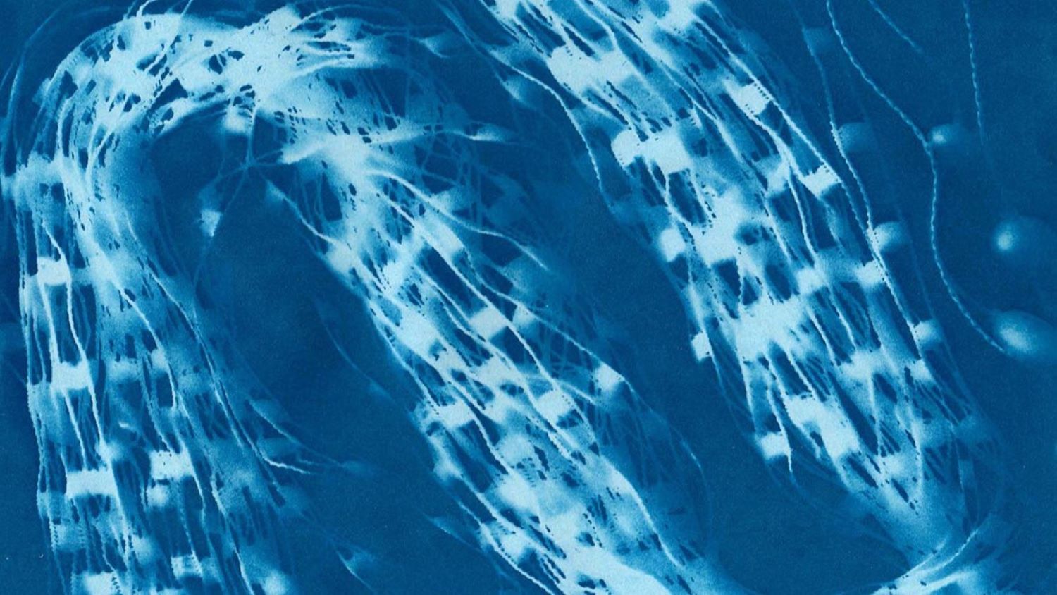 SheaRoberto_Sarah_Cyanotype_02.jpg